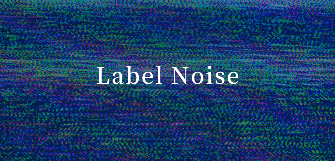 ニューラルネットワーク最適化問題としてのラベルノイズ問題 株式会社 Accel Brain